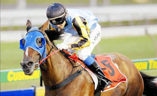 Japanese jockey Kazuki Mizobe is out of intensive care after a serious race fall last weekend. Japanese jockey Kazuki Mizobe is out of intensive care after a serious race fall last weekend.